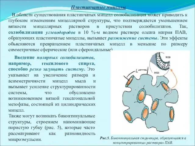 Пластинчатые мицеллы В области существования пластинчатых мицелл солюбилизация может приводить к