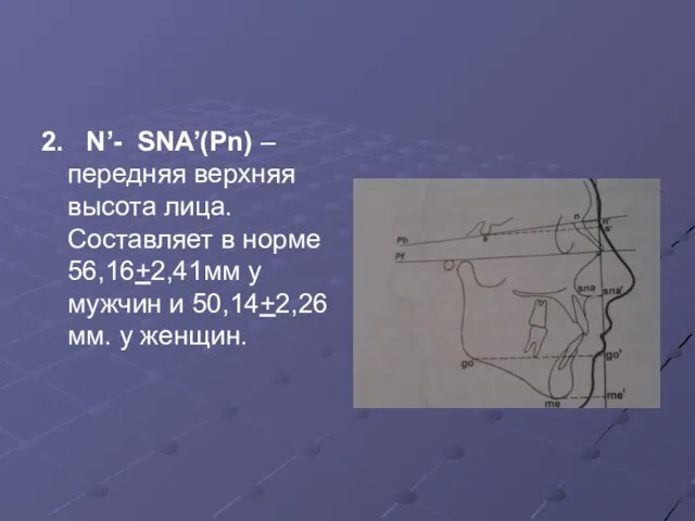 2. N’- SNA’(Pn) – передняя верхняя высота лица. Составляет в норме