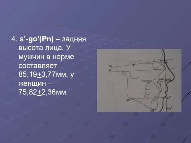 4. s’-go’(Pn) – задняя высота лица. У мужчин в норме составляет 85,19+3,77мм, у женщин – 75,82+2,36мм.