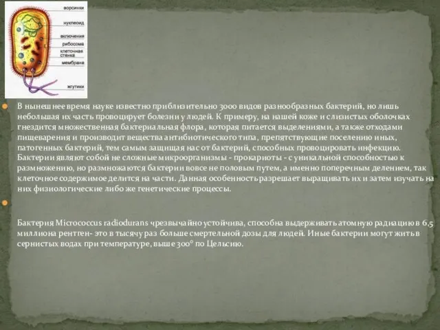 В нынешнее время науке известно приблизительно 3000 видов разнообразных бактерий, но
