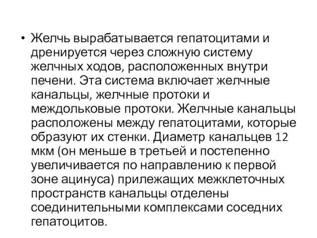 Желчь вырабатывается гепатоцитами и дренируется через сложную систему желчных ходов, расположенных