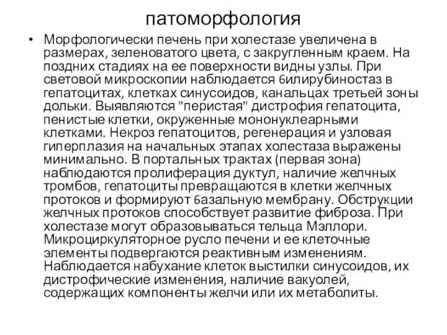 патоморфология Морфологически печень при холестазе увеличена в размерах, зеленоватого цвета, с