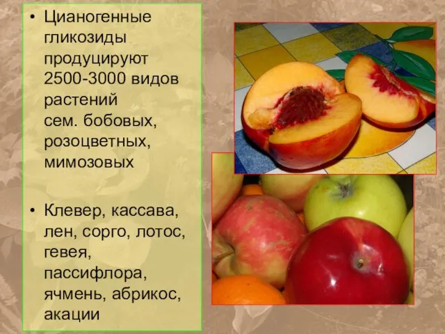 Цианогенные гликозиды продуцируют 2500-3000 видов растений сем. бобовых, розоцветных, мимозовых Клевер,