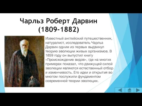 Чарльз Роберт Дарвин (1809-1882) Известный английский путешественник, натуралист, исследователь Чарльз Дарвин