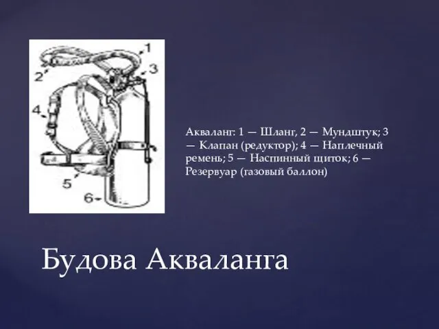 Будова Акваланга Акваланг: 1 — Шланг, 2 — Мундштук; 3 —