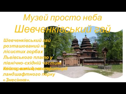 Музей просто неба Шевченківський гай Шевченківський гай розташований на лісистих горбах