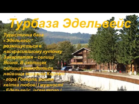 Турбаза Эдельвейс Туристична база «Эдельвейс" розміщується в найкрасивішому куточку Закарпаття –