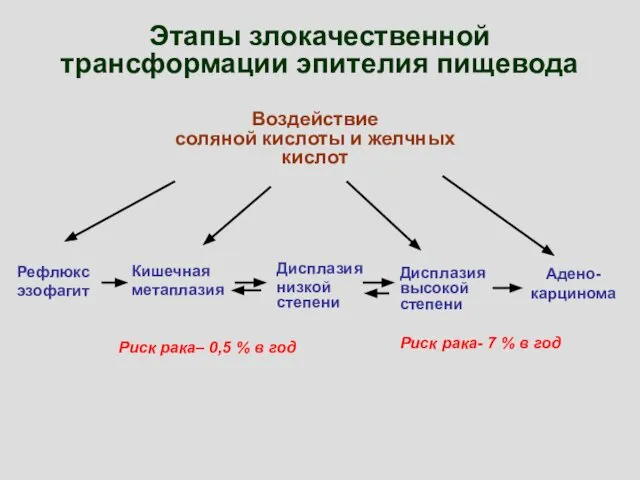 Этапы злокачественной трансформации эпителия пищевода Воздействие соляной кислоты и желчных кислот