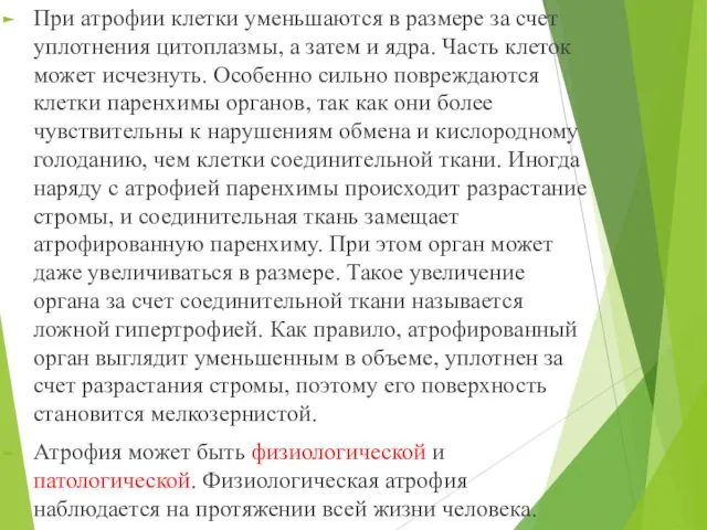 При атрофии клетки уменьшаются в размере за счет уплотнения цитоплазмы, а