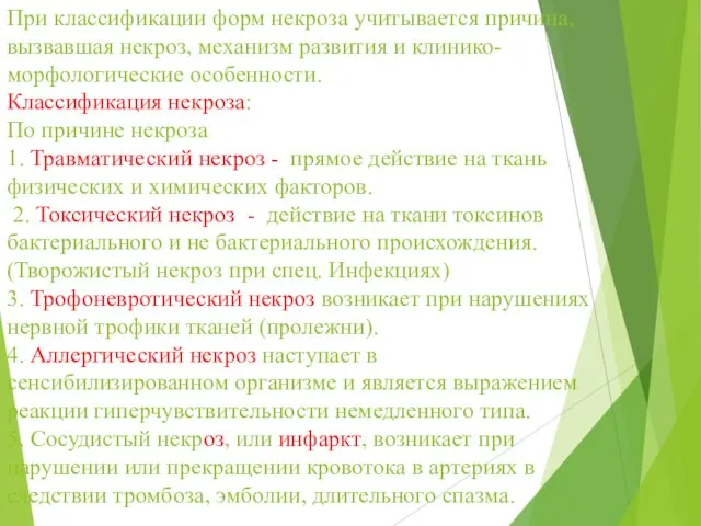 При классификации форм некроза учитывается причина, вызвавшая некроз, механизм развития и