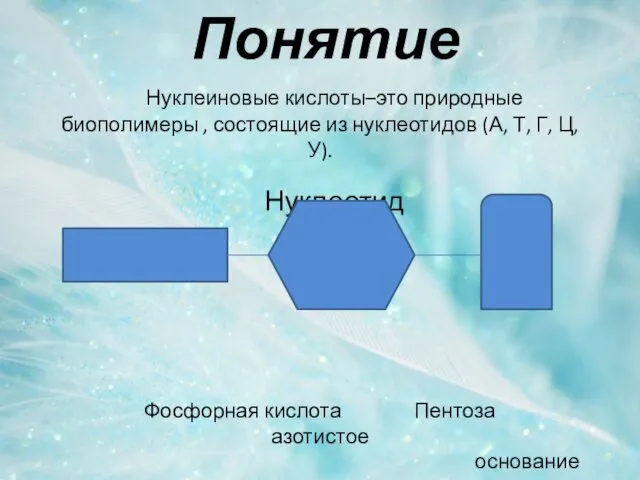 Понятие Нуклеиновые кислоты–это природные биополимеры , состоящие из нуклеотидов (А, Т,