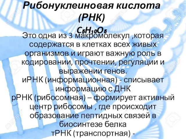 Рибонуклеиновая кислота (РНК) C₅H₁₀O₅ Это одна из 3 макромолекул ,которая содержатся