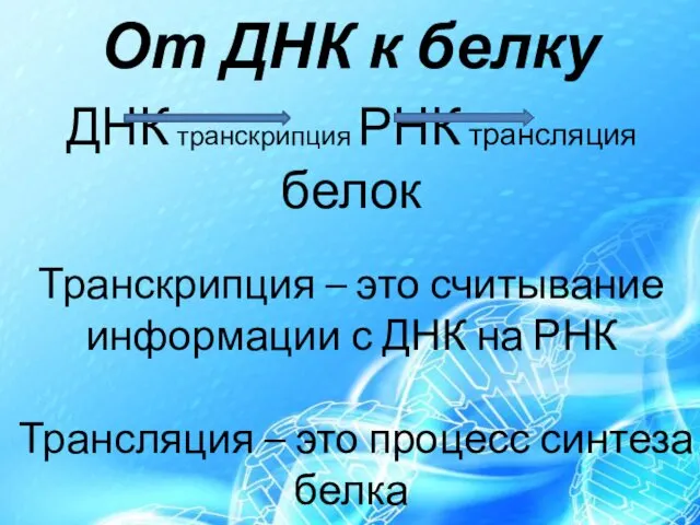 От ДНК к белку ДНК транскрипция РНК трансляция белок Транскрипция –