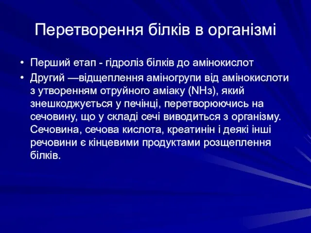 Перетворення білків в організмі Перший етап - гідроліз білків до амінокислот