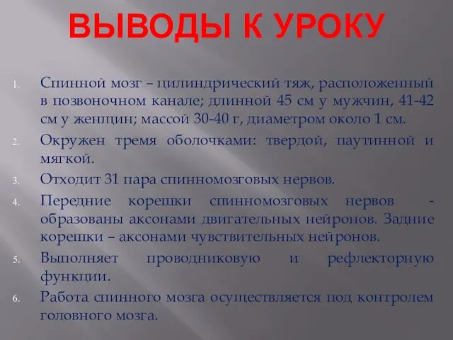 ВЫВОДЫ К УРОКУ Спинной мозг – цилиндрический тяж, расположенный в позвоночном