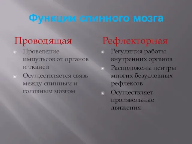 Функции спинного мозга Проводящая Проведение импульсов от органов и тканей Осуществляется