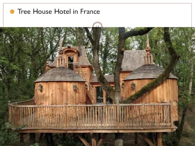 Tree House Hotel in France