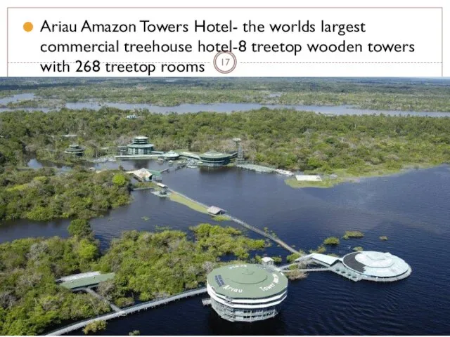 Ariau Amazon Towers Hotel- the worlds largest commercial treehouse hotel-8 treetop