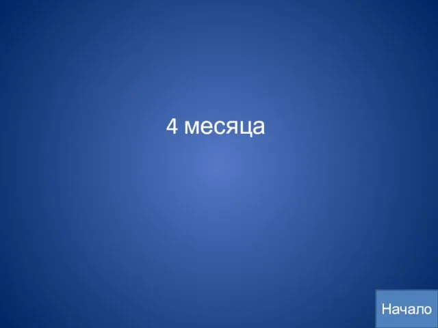 4 месяца