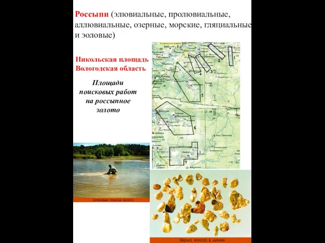 Площади поисковых работ на россыпное золото Никольская площадь Вологодская область Россыпи