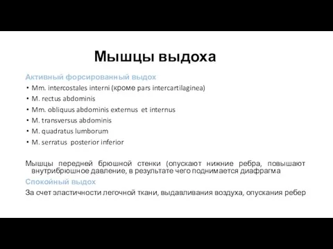 Мышцы выдоха Активный форсированный выдох Mm. intercostales interni (кроме pars intercartilaginea)