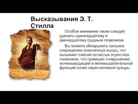 Высказывания Э. Т. Стилла Особое внимание также следует уделить одиннадцатому и