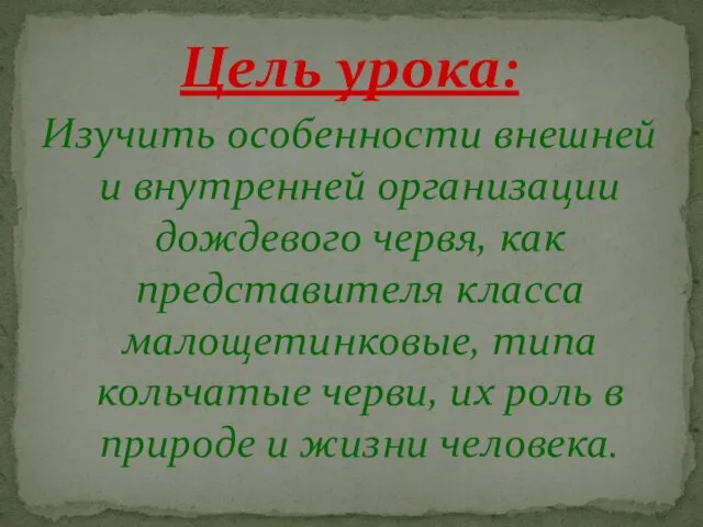 Цель урока: Изучить особенности внешней и внутренней организации дождевого червя, как