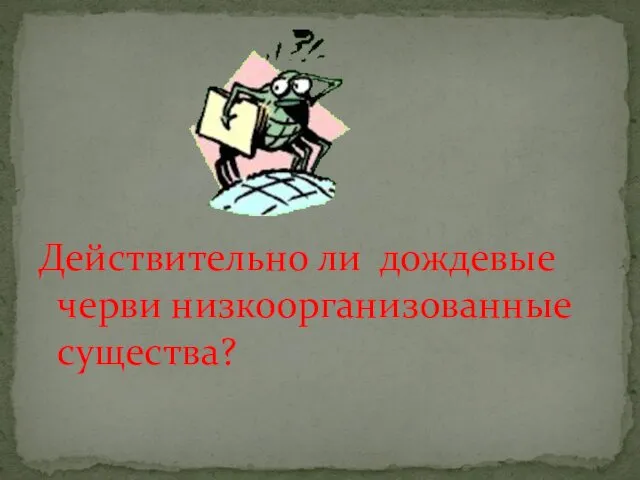 Действительно ли дождевые черви низкоорганизованные существа?