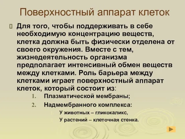 Поверхностный аппарат клеток Для того, чтобы поддерживать в себе необходимую концентрацию