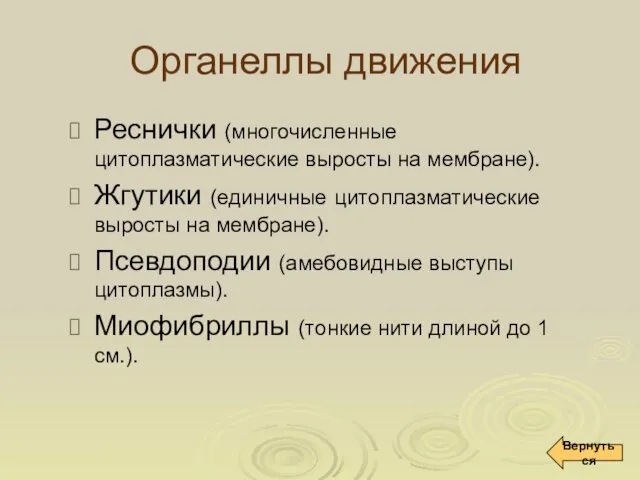 Органеллы движения Реснички (многочисленные цитоплазматические выросты на мембране). Жгутики (единичные цитоплазматические