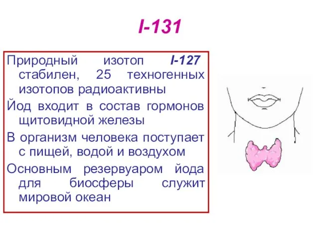 I-131 Природный изотоп I-127 стабилен, 25 техногенных изотопов радиоактивны Йод входит