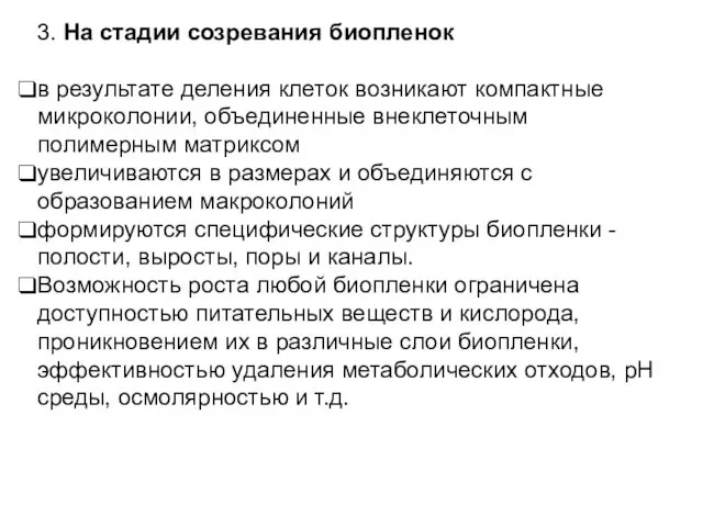 3. На стадии созревания биопленок в результате деления клеток возникают компактные