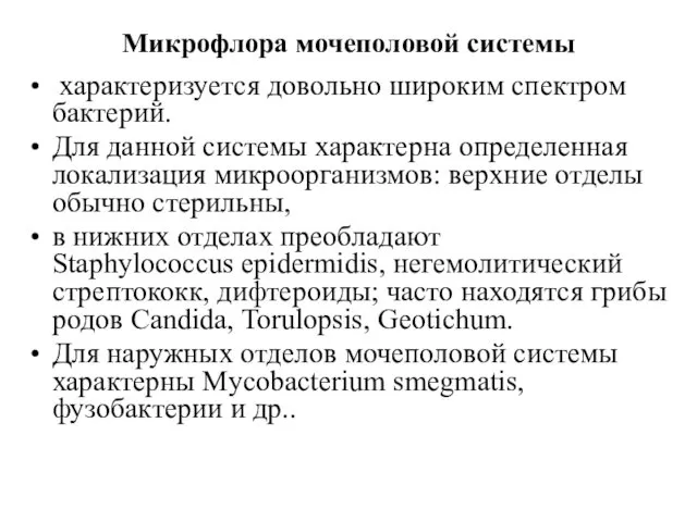 Микрофлора мочеполовой системы характеризуется довольно широким спектром бактерий. Для данной системы