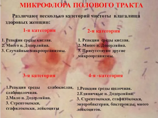 1. Реакция среды кислая. 2. Много п. Додерляйна. 3. Случайные микроорганизмы.