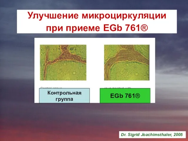 Улучшение микроциркуляции при приеме EGb 761® Dr. Sigrid Joachimsthaler, 2005 Контрольная группа EGb 761®