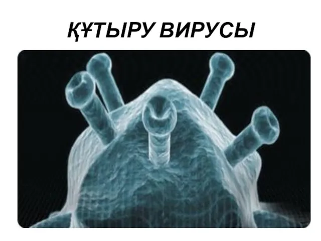 ҚҰТЫРУ ВИРУСЫ