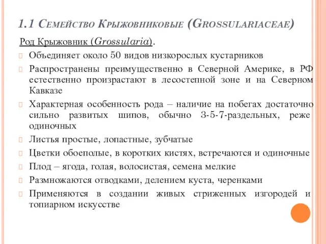 1.1 Семейство Крыжовниковые (Grossulariaceae) Род Крыжовник (Grossularia). Объединяет около 50 видов