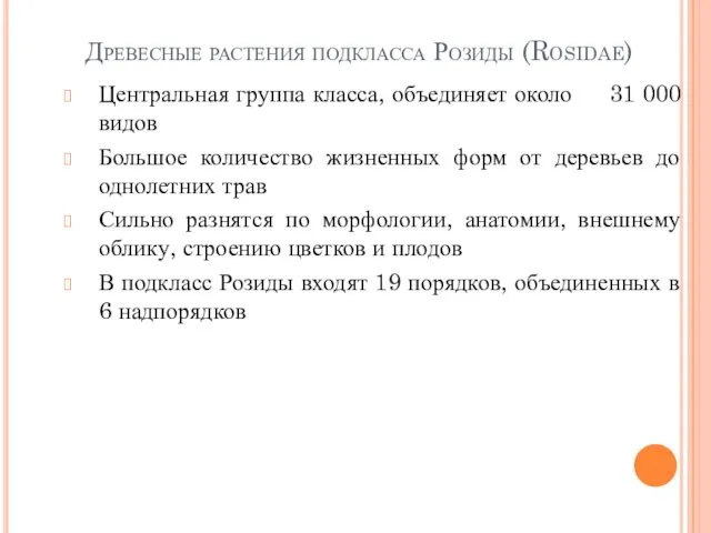 Древесные растения подкласса Розиды (Rosidae) Центральная группа класса, объединяет около 31