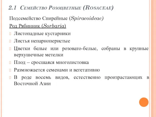 2.1 Семейство Розоцветные (Rosaceae) Подсемейство Спирейные (Spiraeoideae) Род Рябинник (Sorbaria) Листопадные