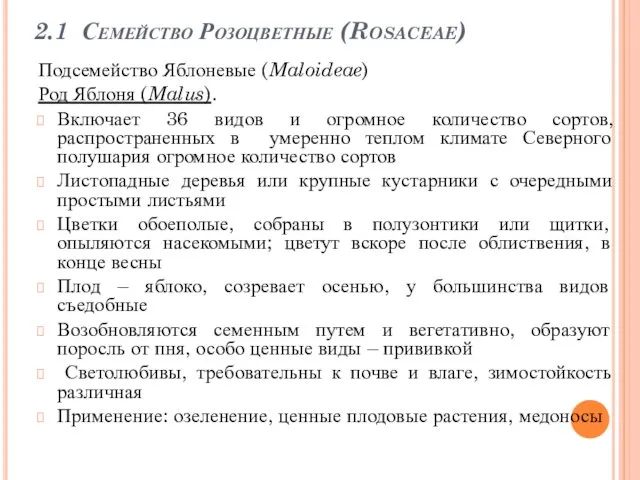 2.1 Семейство Розоцветные (Rosaceae) Подсемейство Яблоневые (Maloideae) Род Яблоня (Malus). Включает