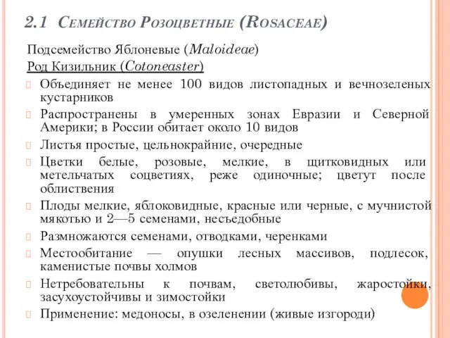 2.1 Семейство Розоцветные (Rosaceae) Подсемейство Яблоневые (Maloideae) Род Кизильник (Cotoneaster) Объединяет