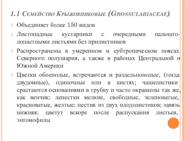 1.1 Семейство Крыжовниковые (Grossulariaceae) Объединяет более 150 видов Листопадные кустарники с