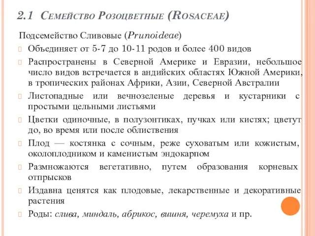 2.1 Семейство Розоцветные (Rosaceae) Подсемейство Сливовые (Prunoideae) Объединяет от 5-7 до