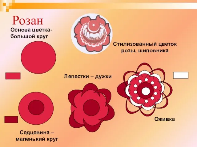 Розан Стилизованный цветок розы, шиповника Основа цветка- большой круг Седцевина –