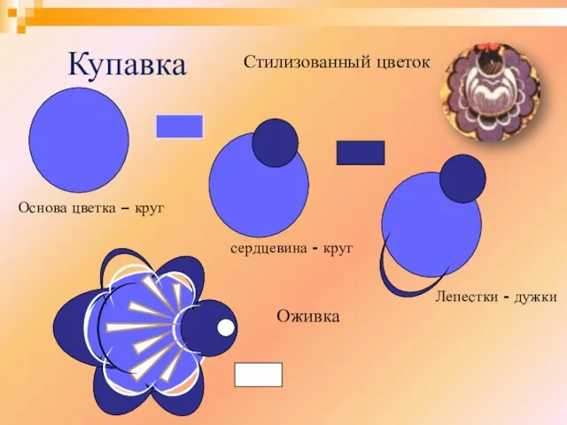 Купавка Стилизованный цветок Основа цветка – круг сердцевина - круг Оживка Лепестки - дужки