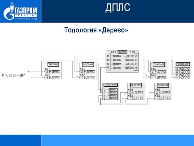 Топология «Дерево» ДПЛС