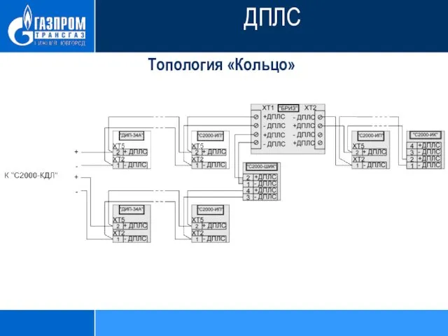 Топология «Кольцо» ДПЛС