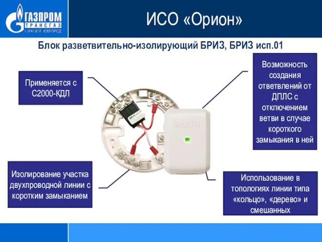 Блок разветвительно-изолирующий БРИЗ, БРИЗ исп.01 Возможность создания ответвлений от ДПЛС с