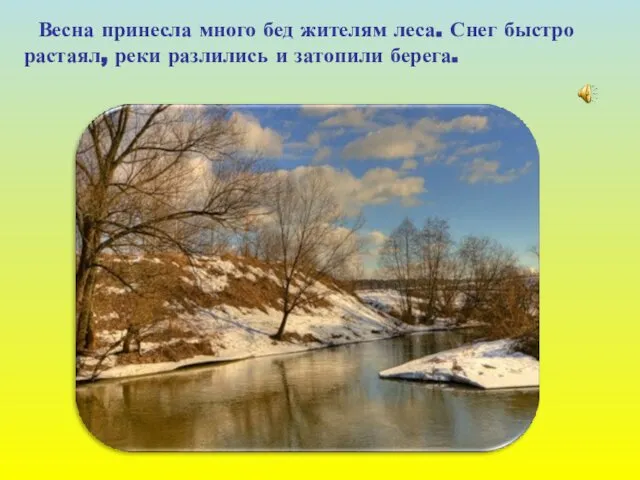 Весна принесла много бед жителям леса. Снег быстро растаял, реки разлились и затопили берега.