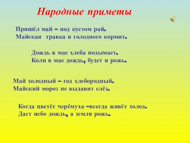 Народные приметы Пришёл май – под кустом рай. Майская травка и